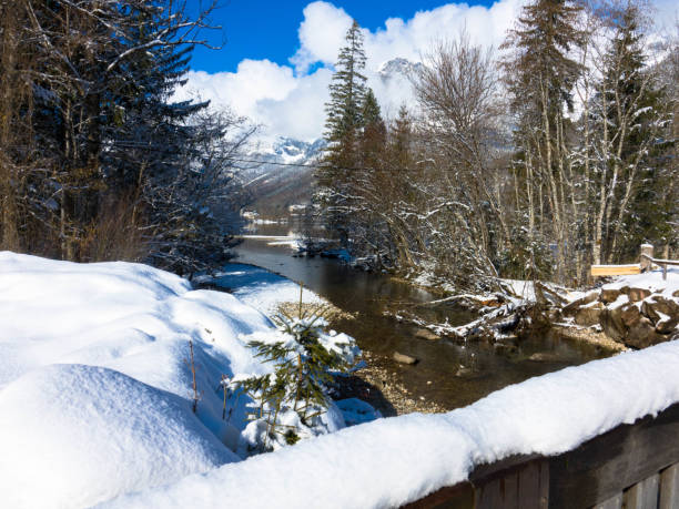 Stream that flows into the Grundlsee. In German language called Stimitzbach. Beautiful view in wintry landscape. Grundlsee, Upper Austria