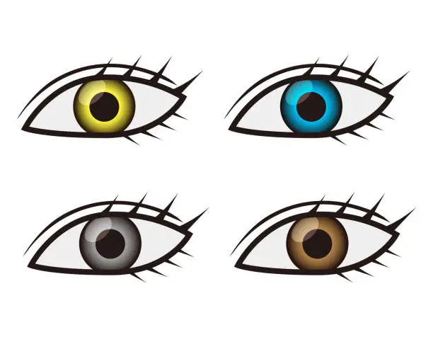 Vector illustration of Eye . Eyelashes . Vector illustration.