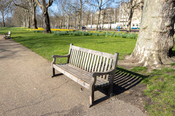 istock Park Bench at St James's Park in London, England 1391012161