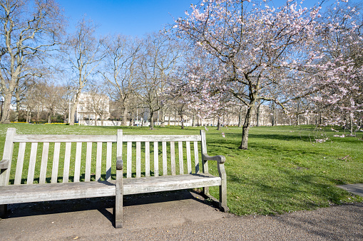 Park Bench at St James's Park in London, England