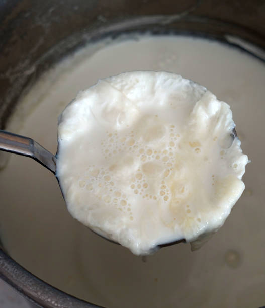 istock Fat milk cream on cooked milk, which is formed on natural cow's milk, 1391015213