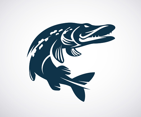 Pike icon or logo template. Jumping fish isolated on white background. Fishing concept. Black and white monochrome vector illustration.