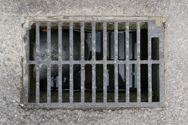 istock Drainage sewer grate with water level inside and plastic pipe. On an asphalt pavement 1391020027