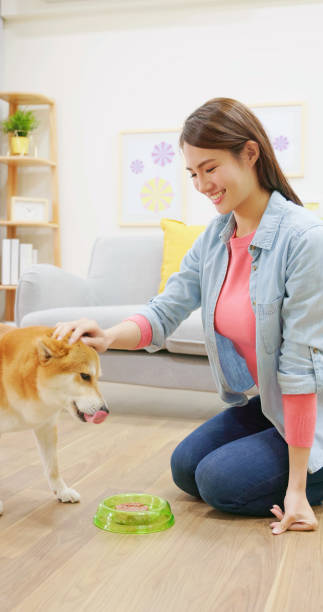 istock girl touching eating dog 1391027356