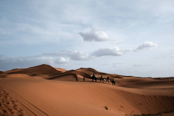 istock Walking in the Sahara Desert 1391028025