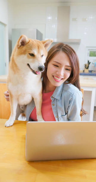 istock girl with dog use laptop 1391028040