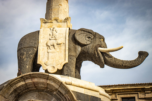 close up of elephant fountain in Catania, Sicily, Italy, Europe