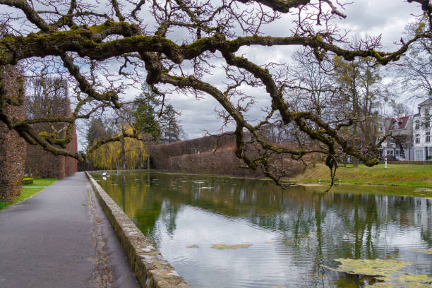istock Ghosty autumn park. Empty lanes and swampy lake 1391028766