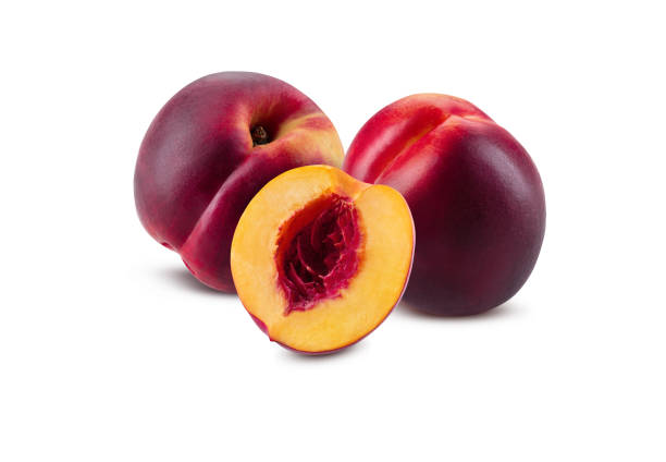 dwa o gładkiej karnacji nektarynki i połowa bez jądra izolowane na białym tle z kopiuj miejsca na tekst lub obrazy. strzał z bliska - nectarine fruit full length cross section zdjęcia i obrazy z banku zdjęć