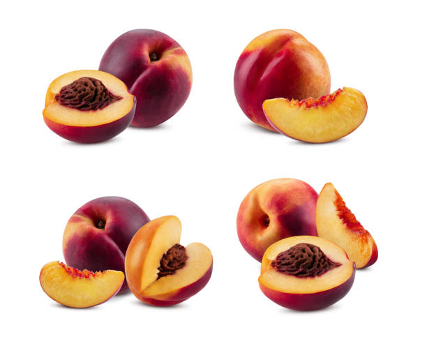 zestaw gładkich nektaryn i części z jądrami i bez nich izolowane na białym tle z przestrzenią kopiowania. zbliżenie - nectarine fruit full length cross section zdjęcia i obrazy z banku zdjęć