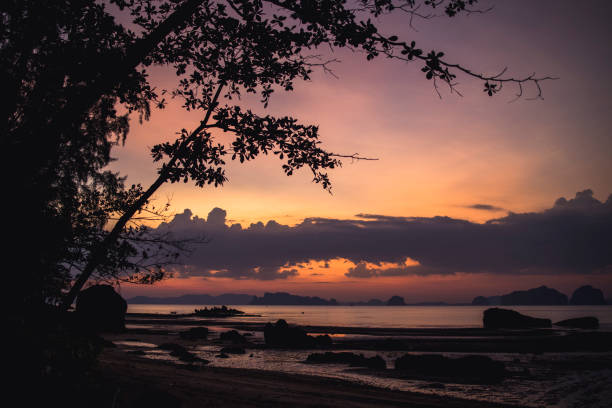 istock Tubkaek Beach (Krabi) after sunset, low tide 1391033546