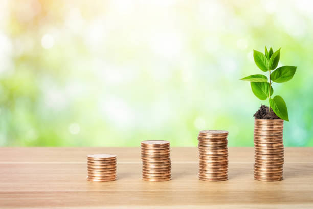 Financial growth, profit increase, investments and sustainable business development concept Stacks of money coins and green plant. Financial growth, profit increase, investments and sustainable business development concept. sustainable business stock pictures, royalty-free photos & images