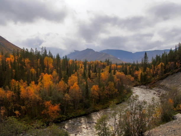 istock A river with a rocky bottom in an autumn forest on a cloudy day. 1391043109