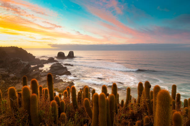Punta de Lobos in Pichilemu