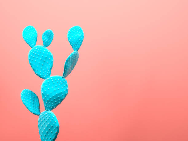 istock Cactus pastel colored art gallery Style. Creative cacti concept. 3D reendering 1391048096