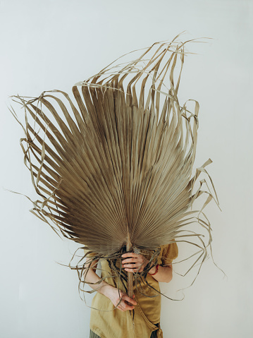 Unknown young woman holding dry palm leaf against white wall. Minimal beauty, fashion concept.