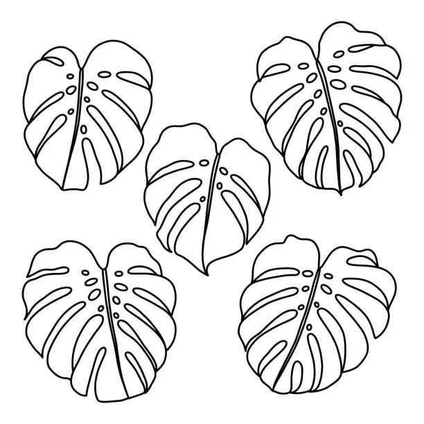 Vector illustration of Outlined monstera leaves vector clip art