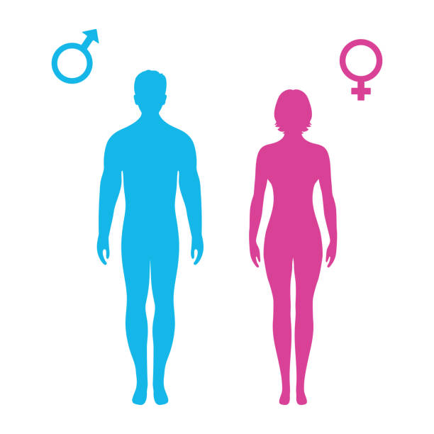 символ мужчины и женщины на белом фоне - body women naked beauty stock illustrations