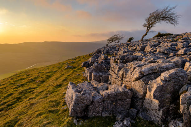 istock Yorkshire Dales Summer sunset with windswept trees and Limestone pavement. 1391051462