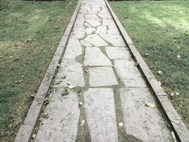 pathwalk in the garden for background and concept on the way