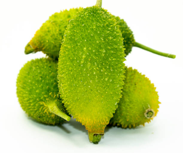 istock selective focus Fresh Green spiny or kakrol isolated on white background 1391054114