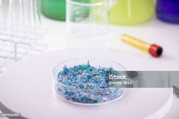 Traces Of Plastic And Microplastic In Petri Dish Analyzed In Laboratory Study Of Environmental Problem Stock Photo - Download Image Now