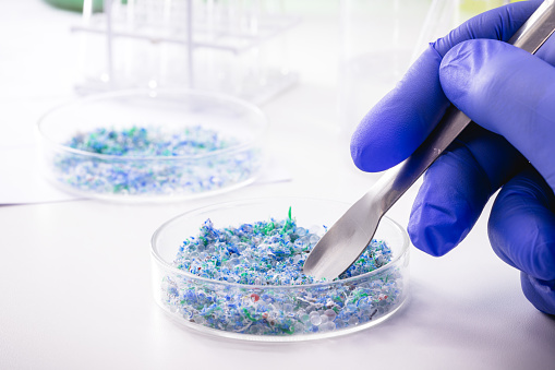 mano de trazas de plástico y microplástico en placa de Petri, analizada en laboratorio, estudio de problema ambiental photo