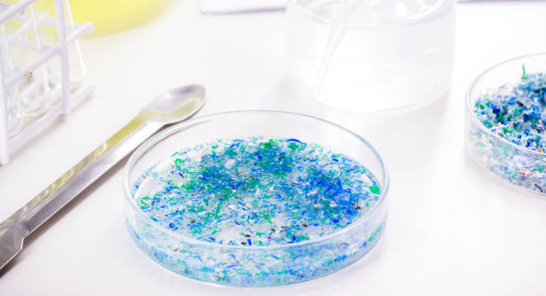 istock hand of traces of plastic and microplastic in petri dish, analyzed in laboratory, study of environmental problem 1391055925