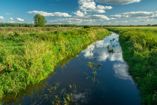 istock Beautiful view of a small river in summer. 1391060566