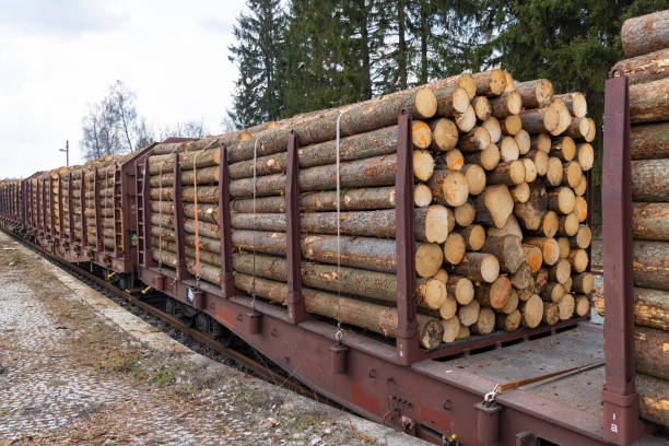 istock Transport of timber on railway wagons 1391062114
