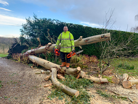 A tree surgeon standing on a chopped down tree that he has just cut down while wearing a reflective coat and holding a chainsaw and helmet in Northumberland, England. He is looking at the camera and smiling.