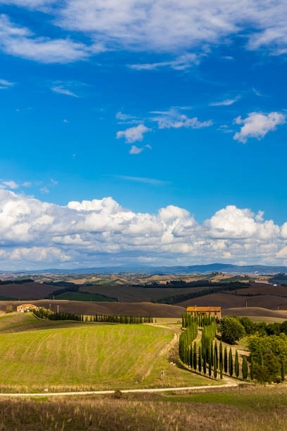 Typical Tuscan landscape in Val d'orcia, Italy