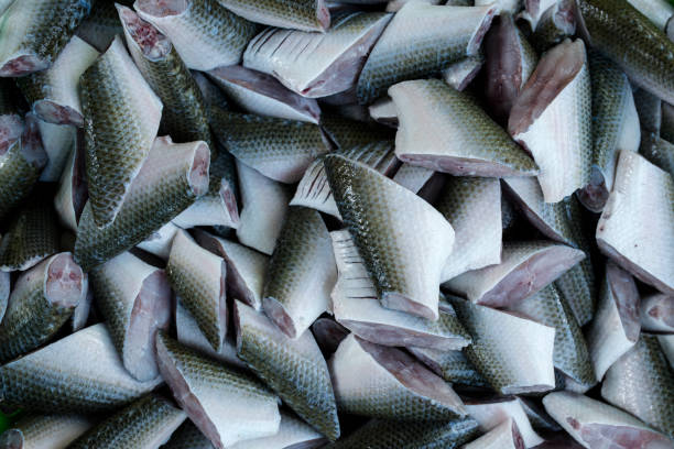 close up slices Whitefish