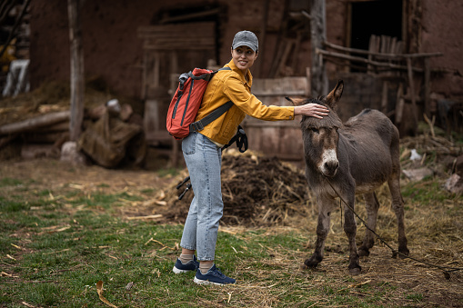 Woman petting a donkey