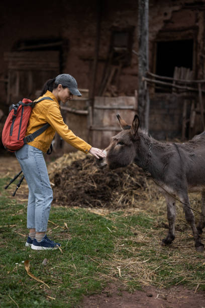 istock Woman loves animals 1391064895