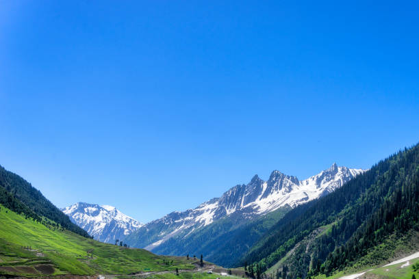 istock Alpine mountain view Sonamarg Jammu and Kashmir landscape 1391067475