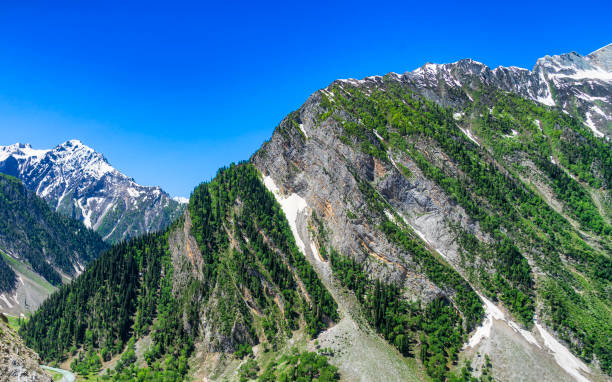 istock Alpine mountain view Sonamarg Jammu and Kashmir landscape 1391067498