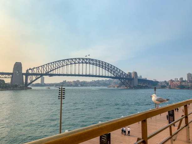 istock Sydney Harbor Bridge view at dusk, Australia 1391075574