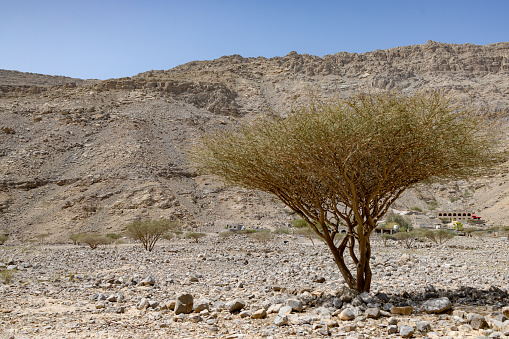 Mountainous Region of Ras Al Khaimah, United Arab Emirates