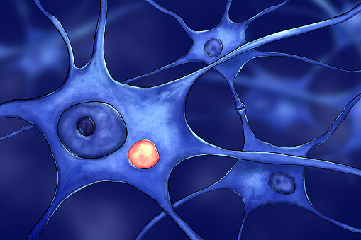 Neurons in rabies disease. Scientific image showing presence of Negri body (orange) in the cytoplasm of a neuron infected with rabies virus. Scientific illustration in hand drawing style