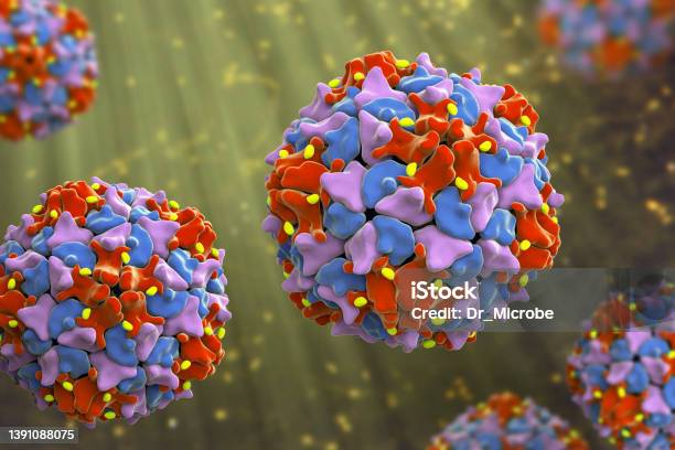 Poliovirus An Rna Virus From Picornaviridae Family That Causes Polio Disease Stock Photo - Download Image Now