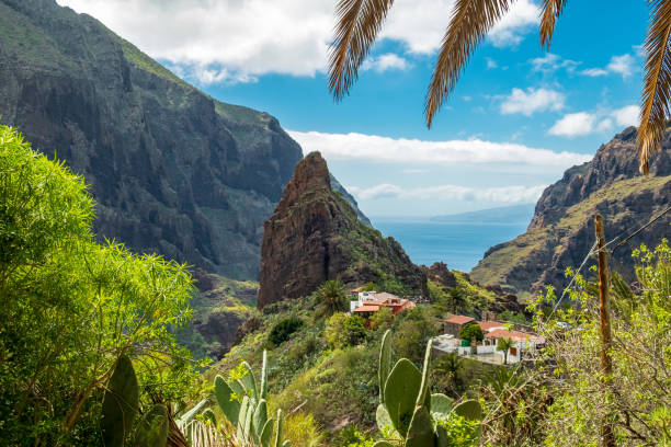istock Tenerife Barranco de Masca 1391088118