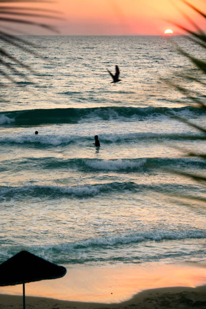 Beautiful beach and silhouetted people relaxing in sea over sunset Silhouetted people enjoyment at beach during sunset beautiful multi colored tranquil scene enjoyment stock pictures, royalty-free photos & images