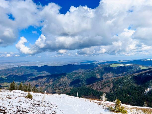 At 1414.2 m, the Belchen is the fourth highest elevation in the Black Forest after Feldberg, Seebuck and the Herzogenhorn. The wide panorama from the summit includes large parts of the Black Forest to the Hornisgrinde, the Vosges, the Jura and, weather permitting, the Alps from the Zugspitze to Mont Blanc.