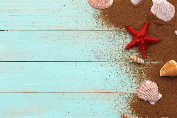 istock On a wooden shield lies sea sand and various shells with space for text. 1391089933