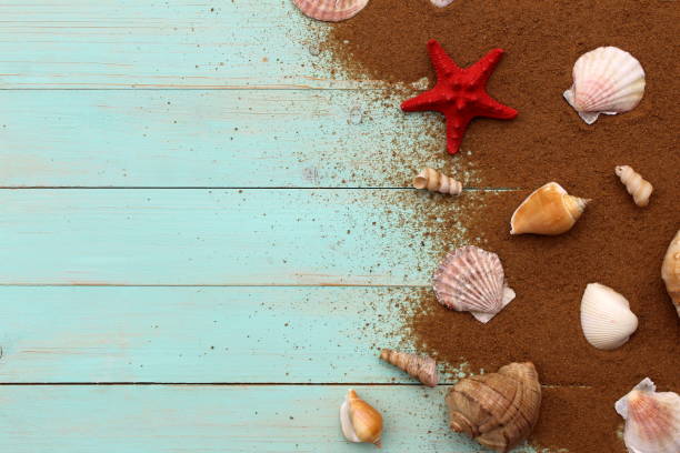 istock On a wooden shield lies sea sand and various shells with space for text. 1391089947