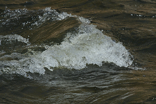 Wave in Connecticut's Bantam River