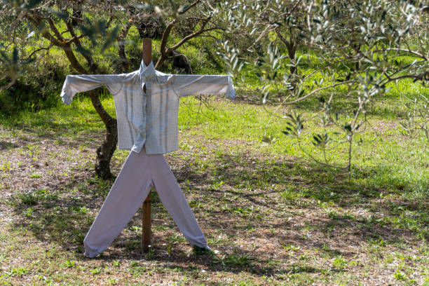 istock Traditional scarecrow  on a sunny spring day 1391093275