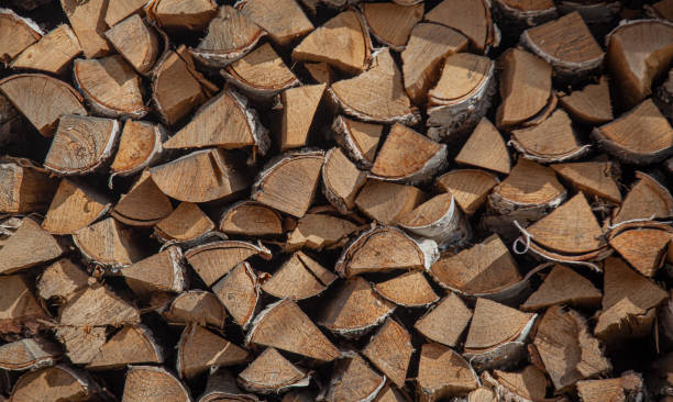 istock Birch firewood stacked in a woodpile 1391093314