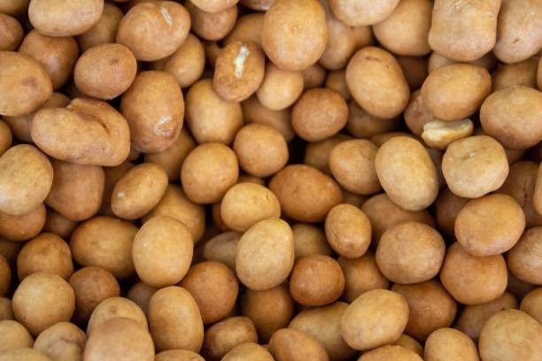 istock Organic Japanese peanuts - Arachis hypogaea. 1391094520